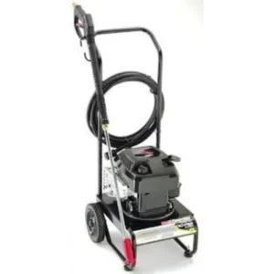 COLEMAN POWERMATE Pressure Washer PW0881800 - Model Identification Image